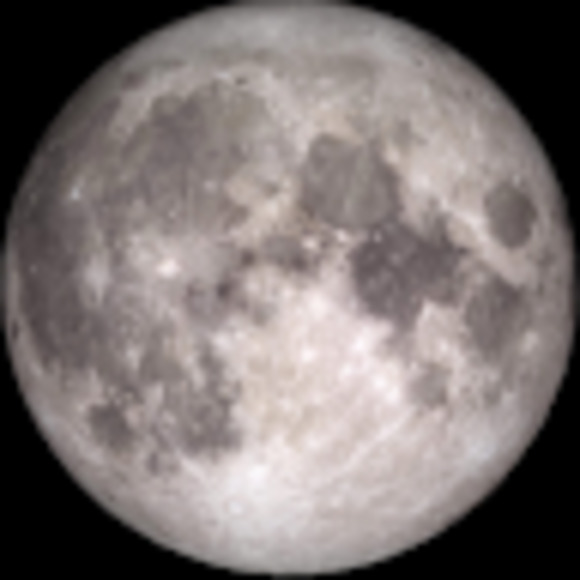 Meet your Posher, Penelope - Picture 1 of 1